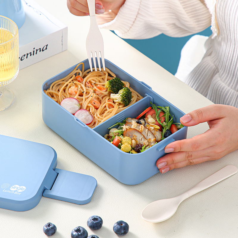 نزهة علب الاغذية ألياف الخيزرا - مراجعة Bento Box Two Tier وسعره